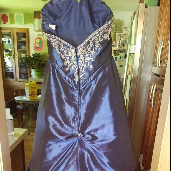 Cinderella Prom Dress/Gown - Picture 4 of 6